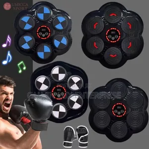 Bluetooth Punching Pad