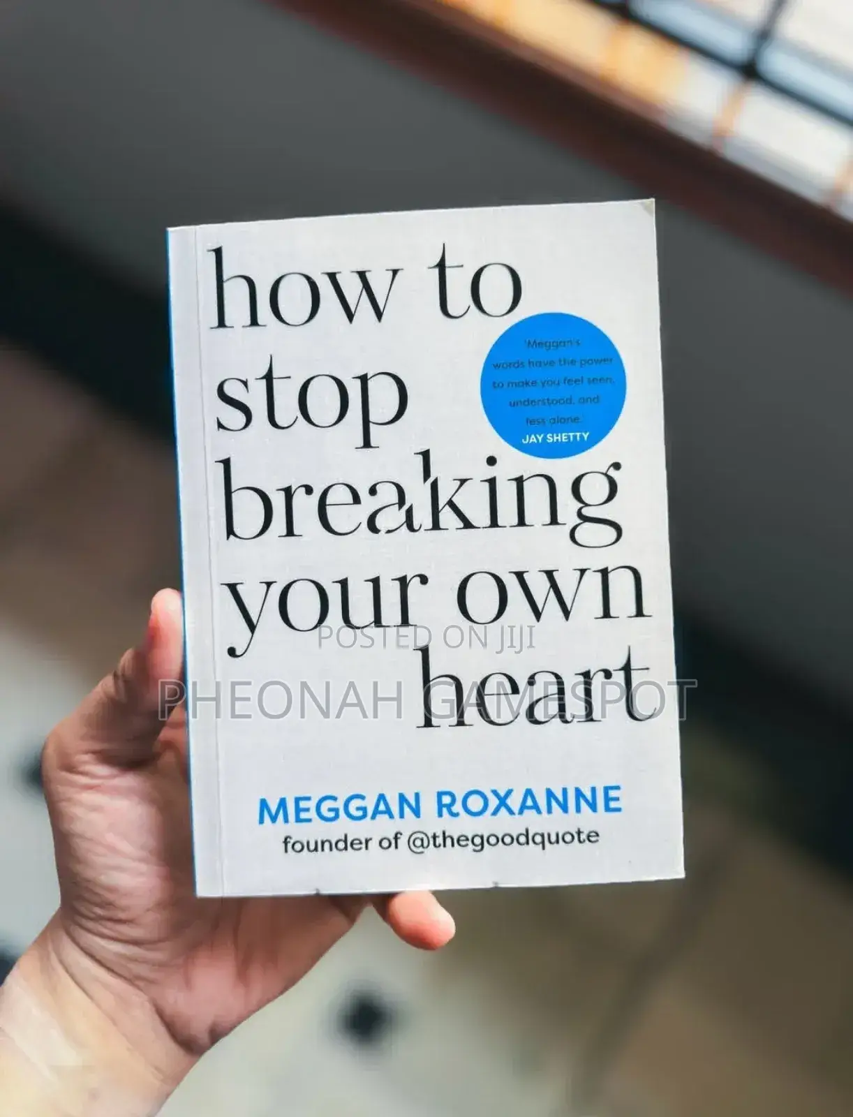 How to Stop Breaking Your Own Heart a Book by Meggan Roxanne