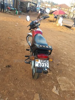 Bajaj Boxer 100 2024 Red