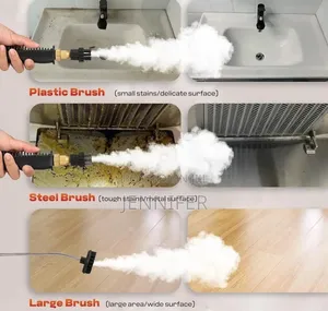 Deeprblu Handheld Steam Cleaner.