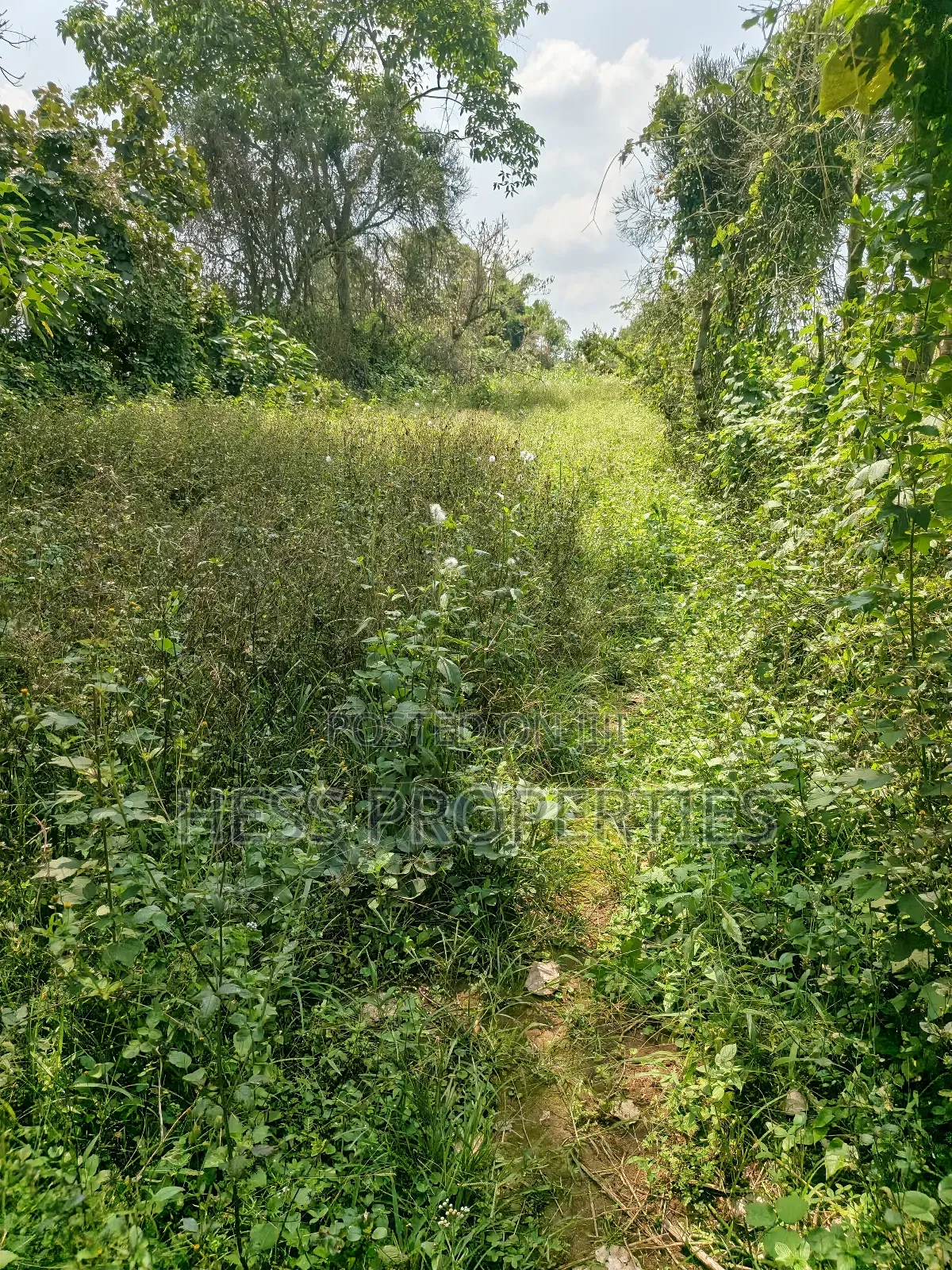 Commercial Land on Sale Located in Kagorogoro-Kyenjojo