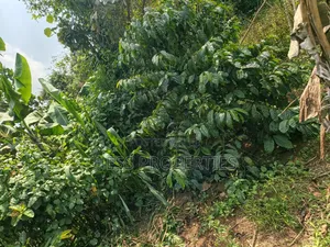 Commercial Land on Sale Located in Kagorogoro-Kyenjojo