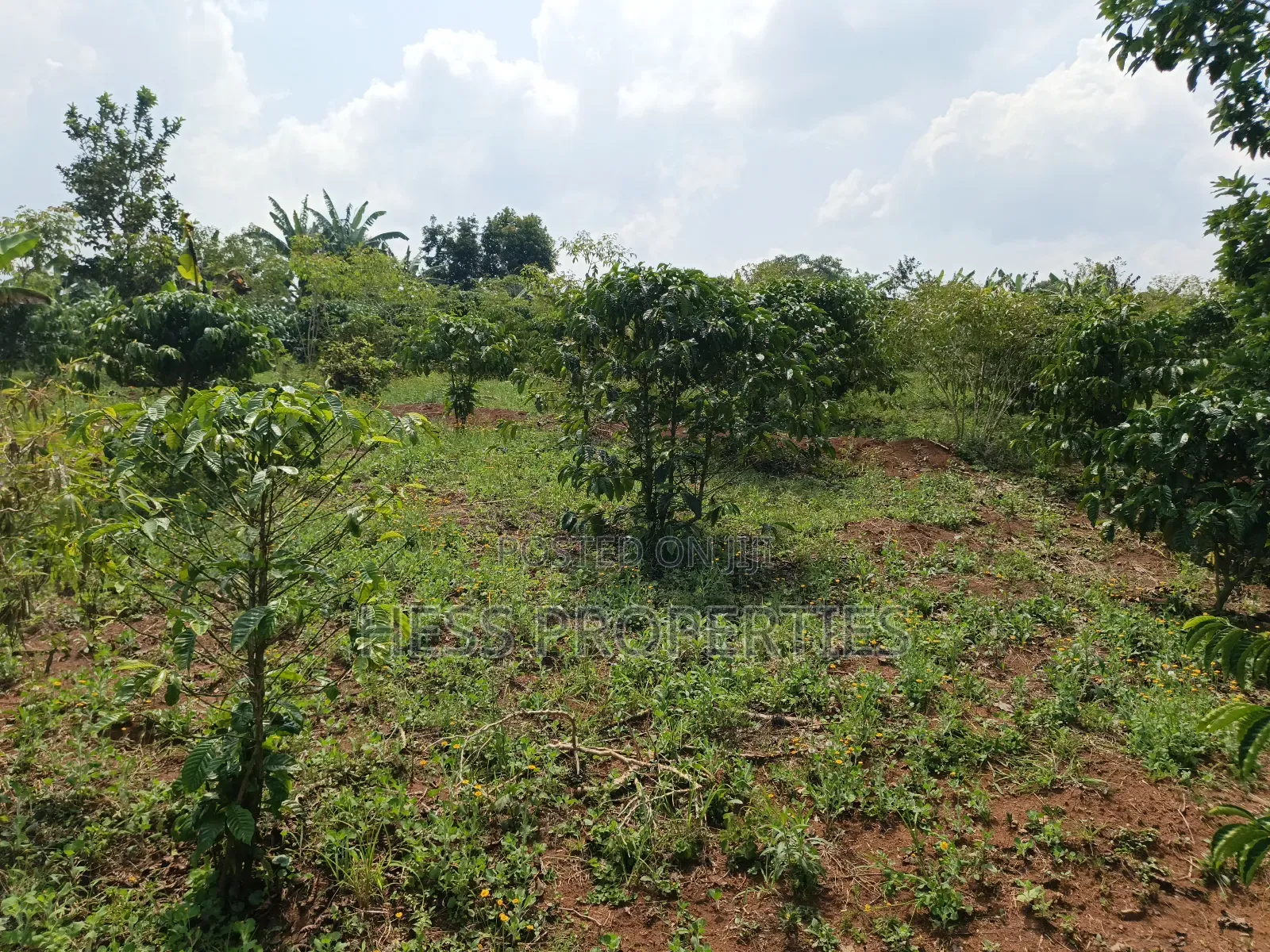 Commercial Land on Sale Located in Kagorogoro-Kyenjojo