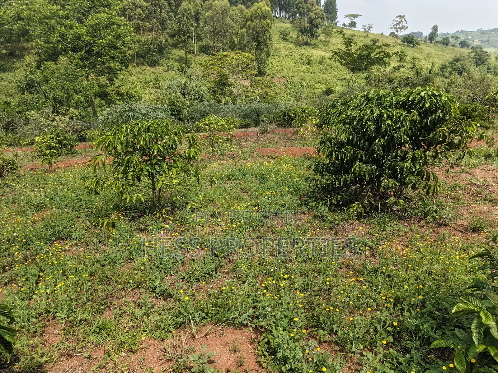 Commercial Land on Sale Located in Kagorogoro-Kyenjojo