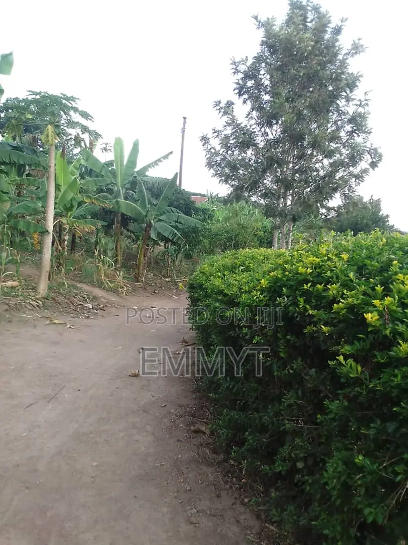 Plot for Sale