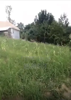Plot for Sale
