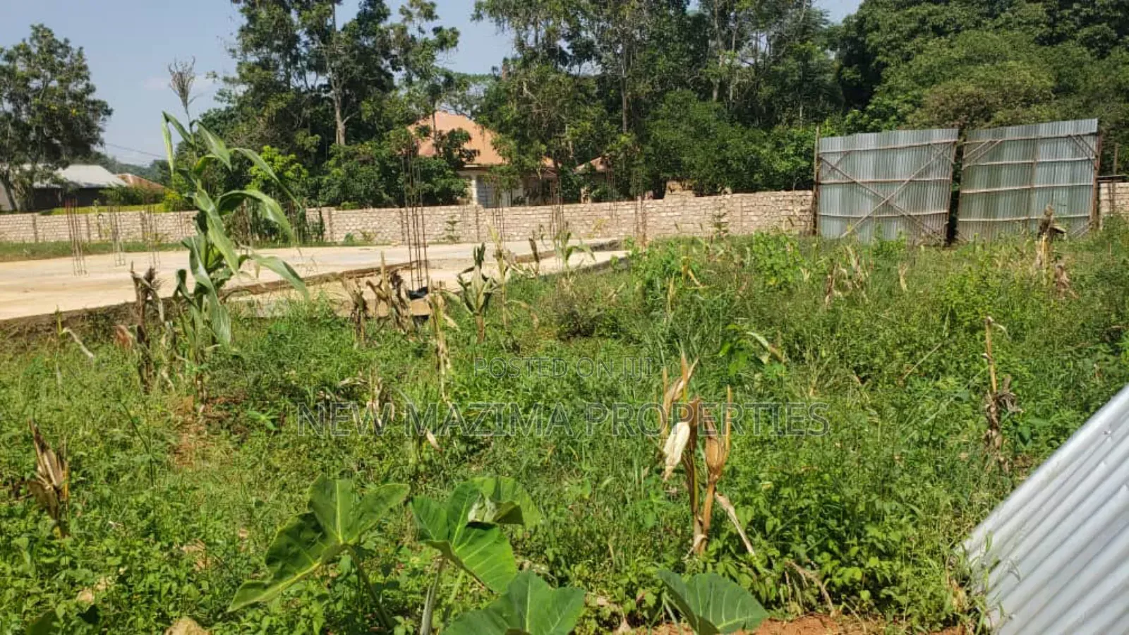 50 Decimals With Lake View on Quicksale in Heart of Kasanje Nakiwogo