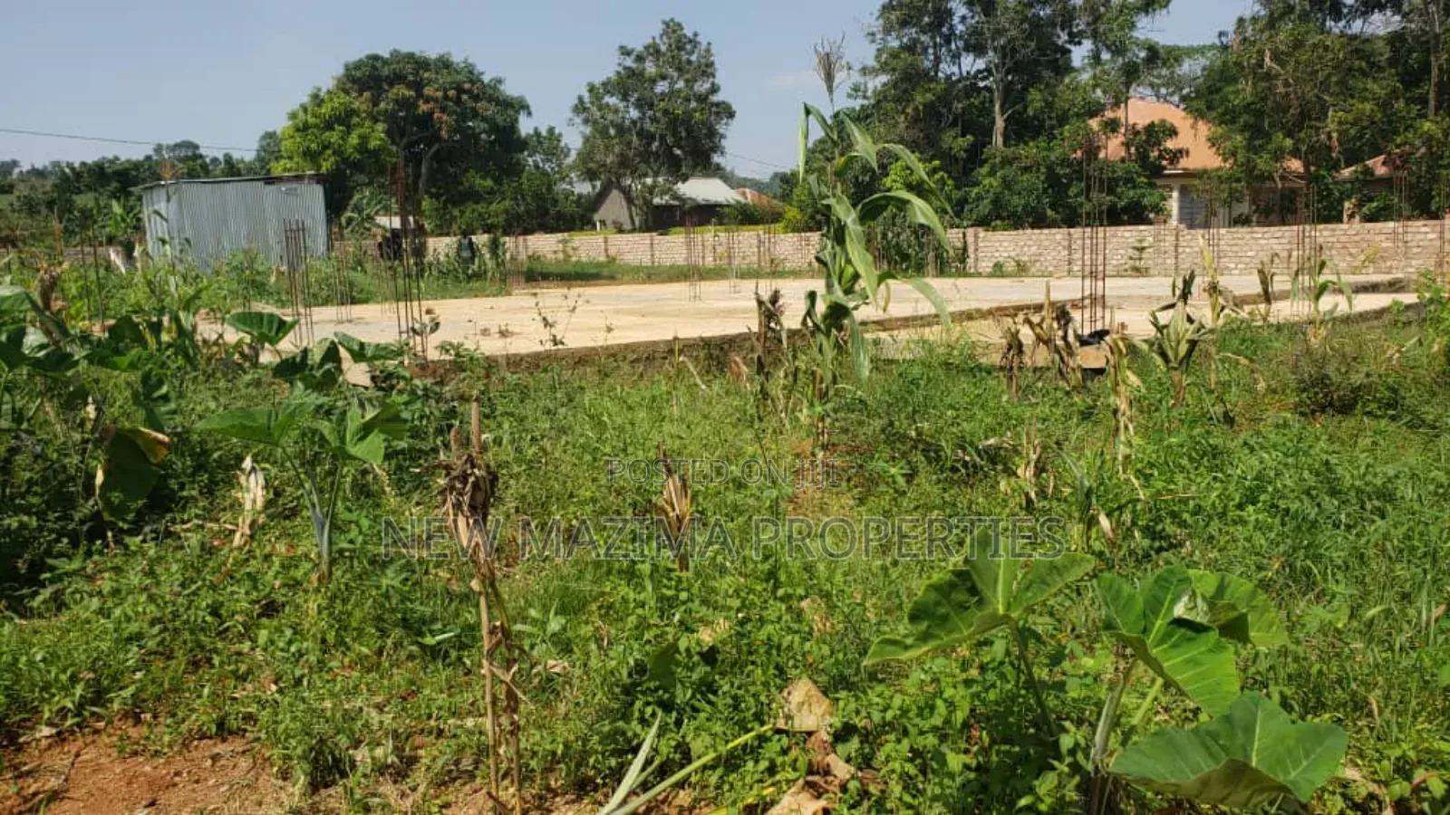 50 Decimals With Lake View on Quicksale in Heart of Kasanje Nakiwogo
