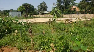 50 Decimals With Lake View on Quicksale in Heart of Kasanje Nakiwogo