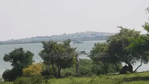 50 Decimals With Lake View on Quicksale in Heart of Kasanje Nakiwogo
