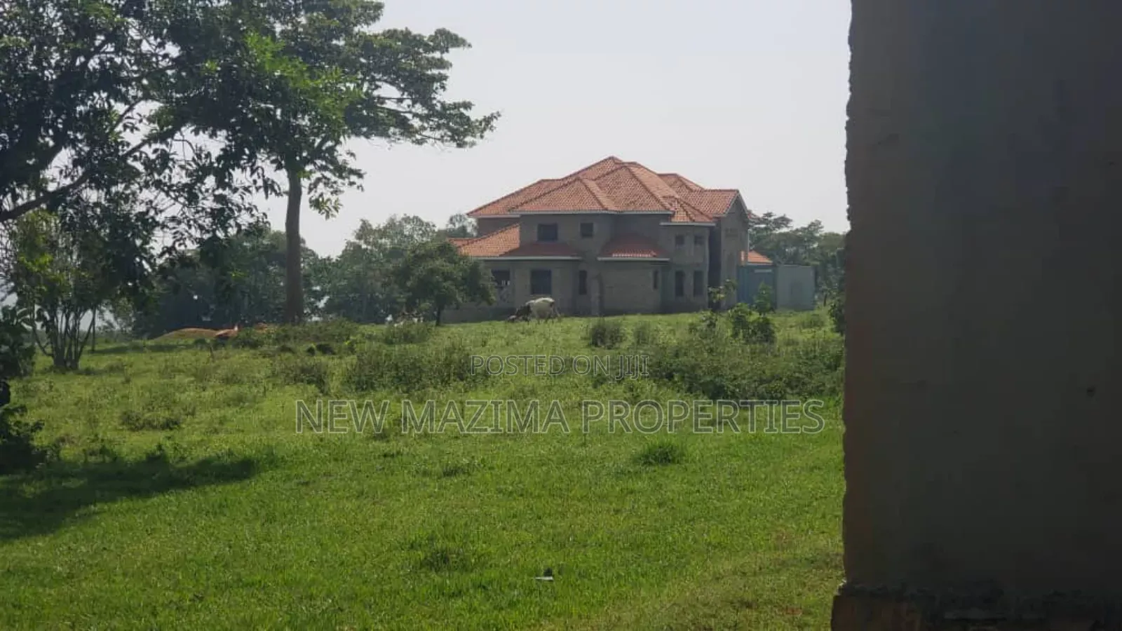 50 Decimals With Lake View on Quicksale in Heart of Kasanje Nakiwogo