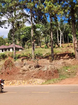 45 Decimals Forcedsale Measuring Direct From Tarmac on Namulanda Janyi