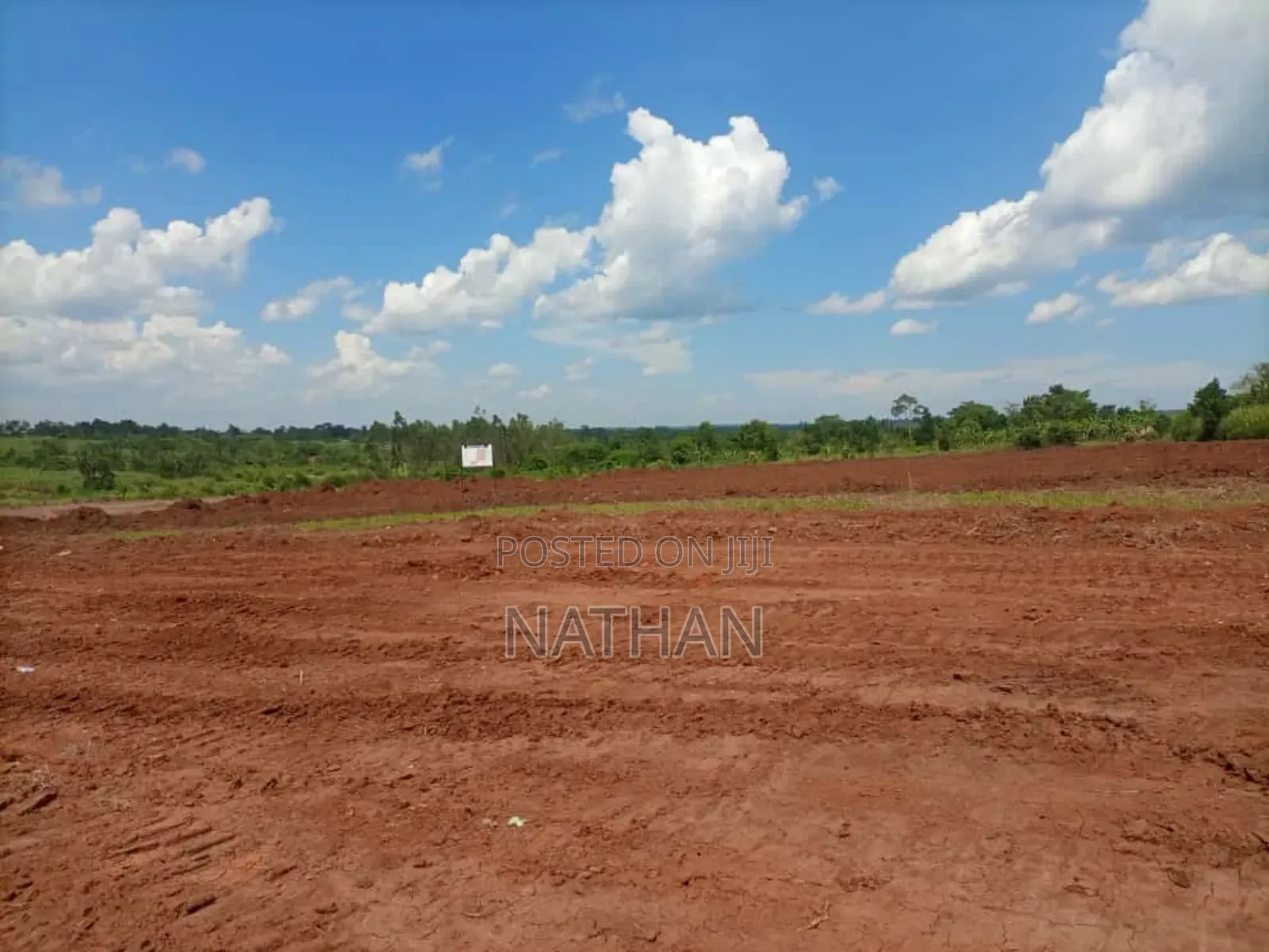Century Property Real Estate(U) Ltd