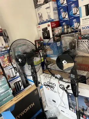 Standing Fan PTL