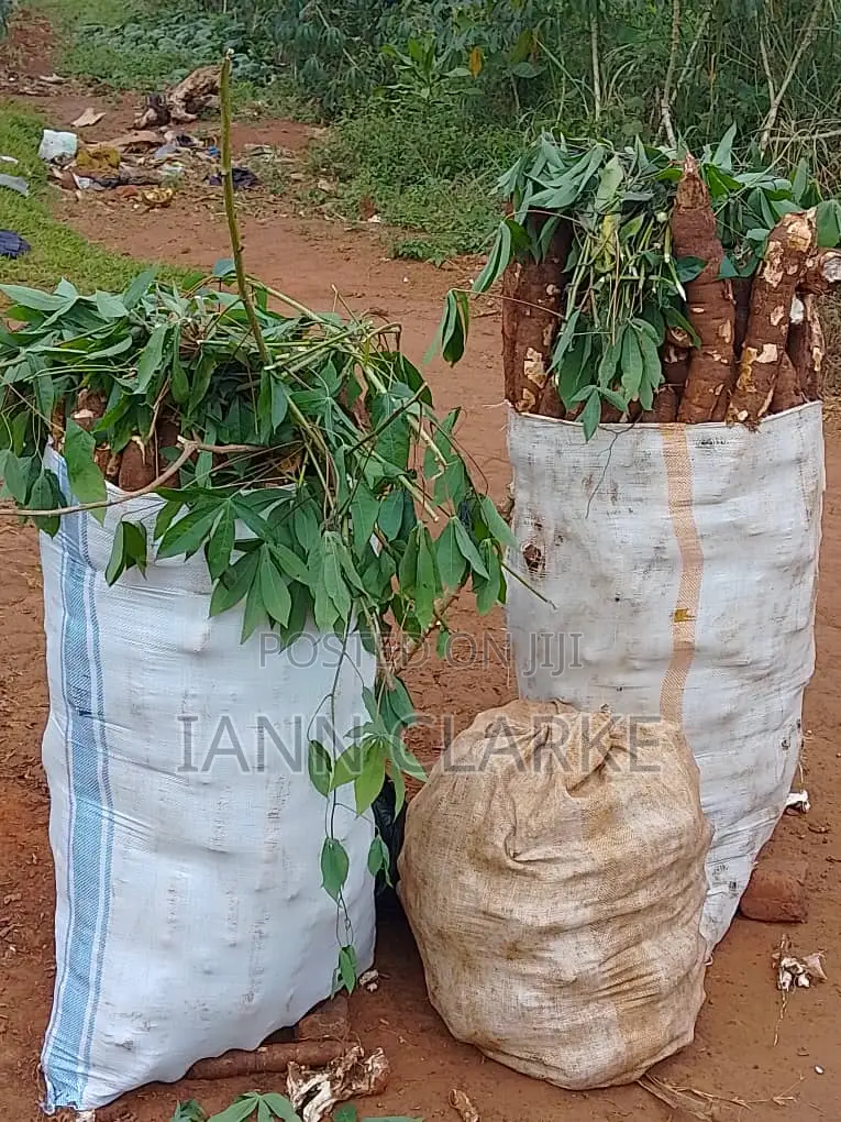 60 X 100ft Plot Of Land (Kibbanja / Agreement Sale) In Mpigi