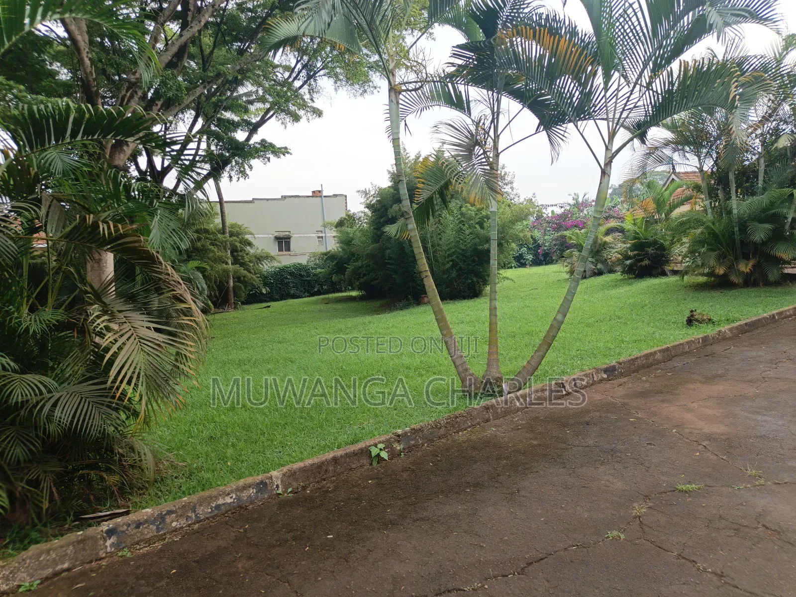 1acre on Quick Sale in Kololo