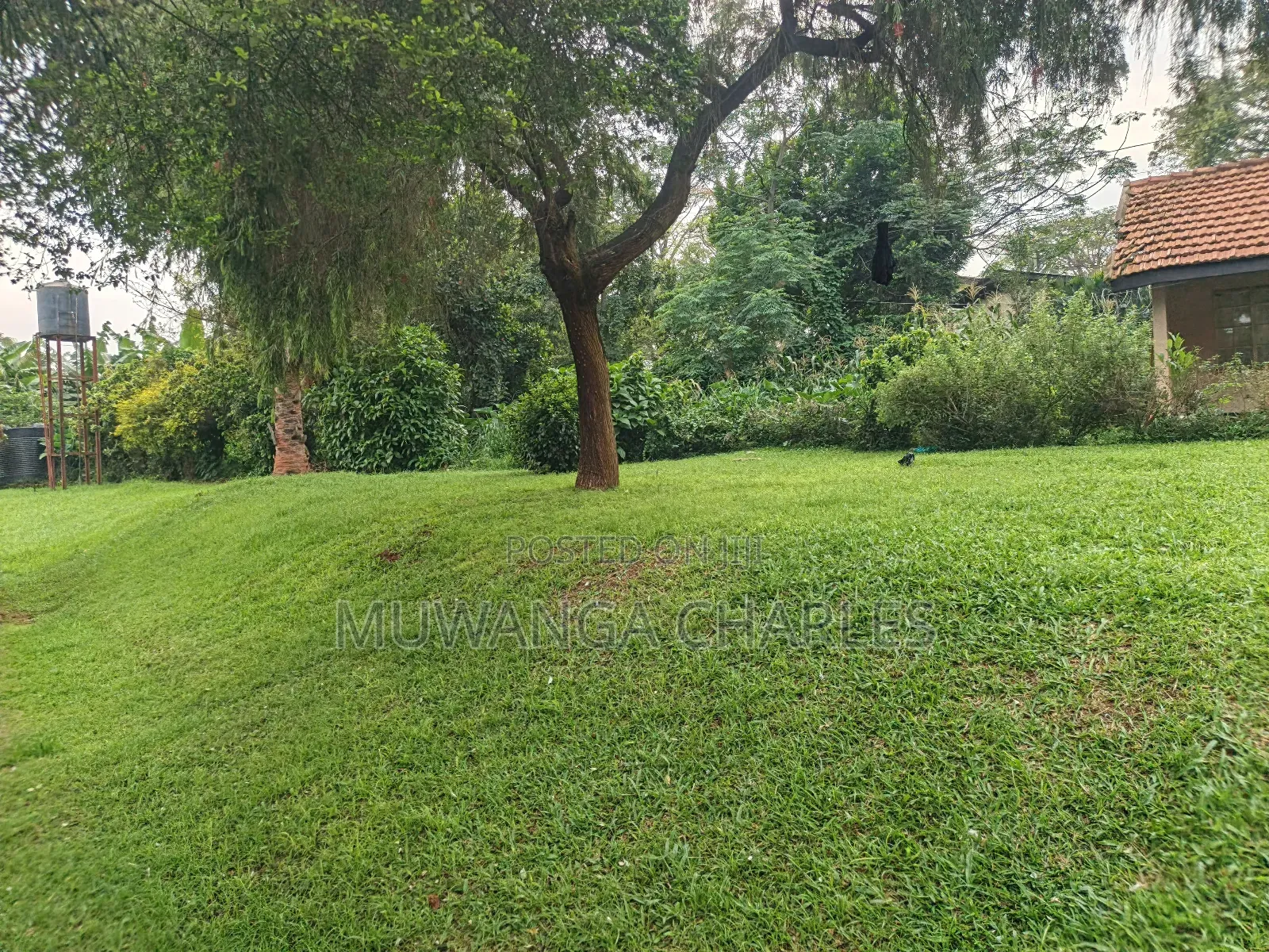 1acre on Quick Sale in Kololo