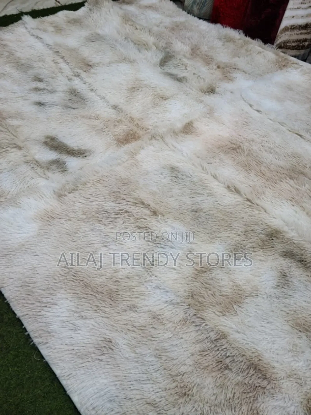 Livingroom -Bedroom Carpets