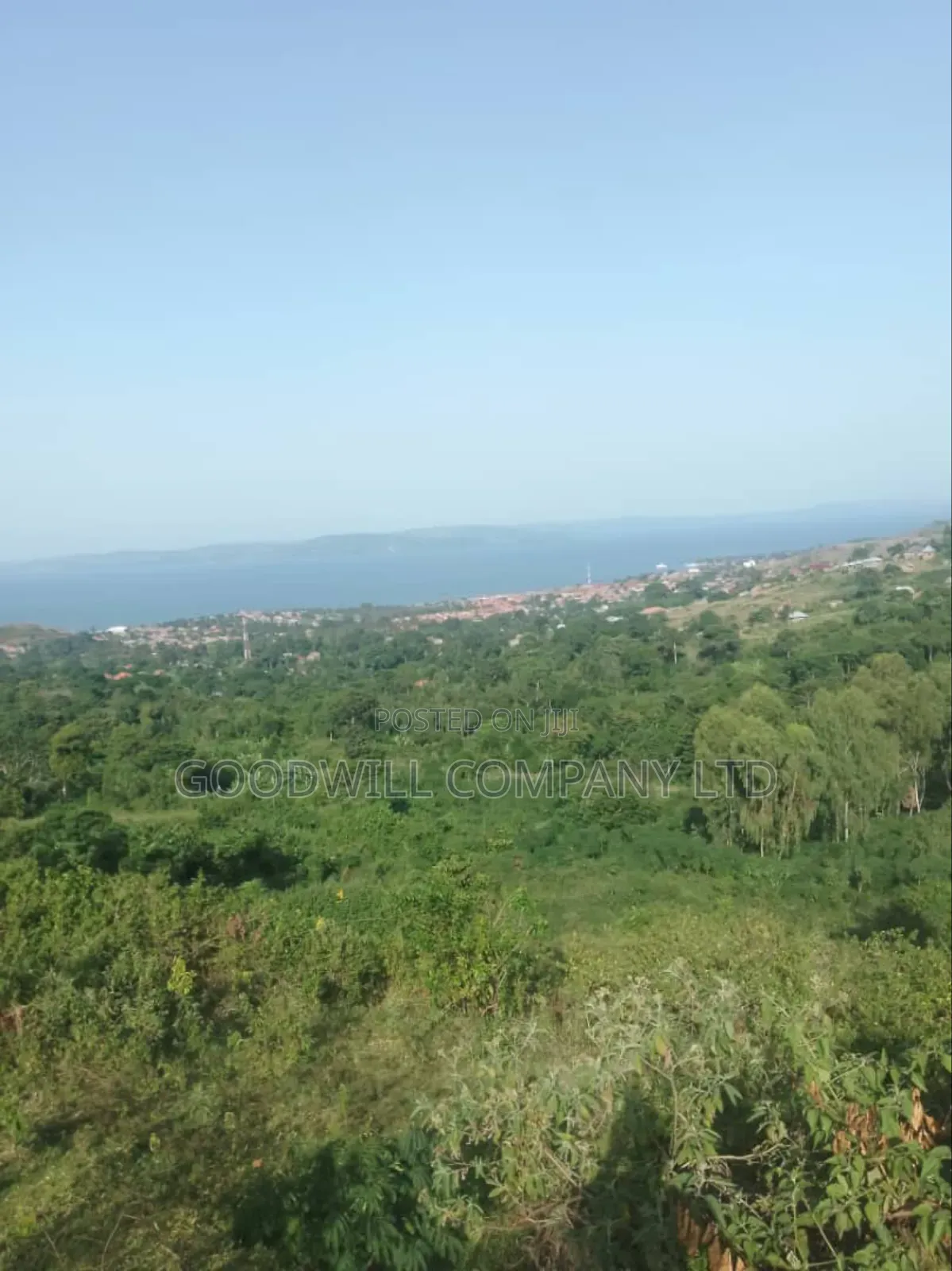 7 Acres of Land in Kiyindi Buikwe, Mukono-Katosi-Nkokonjeru Road
