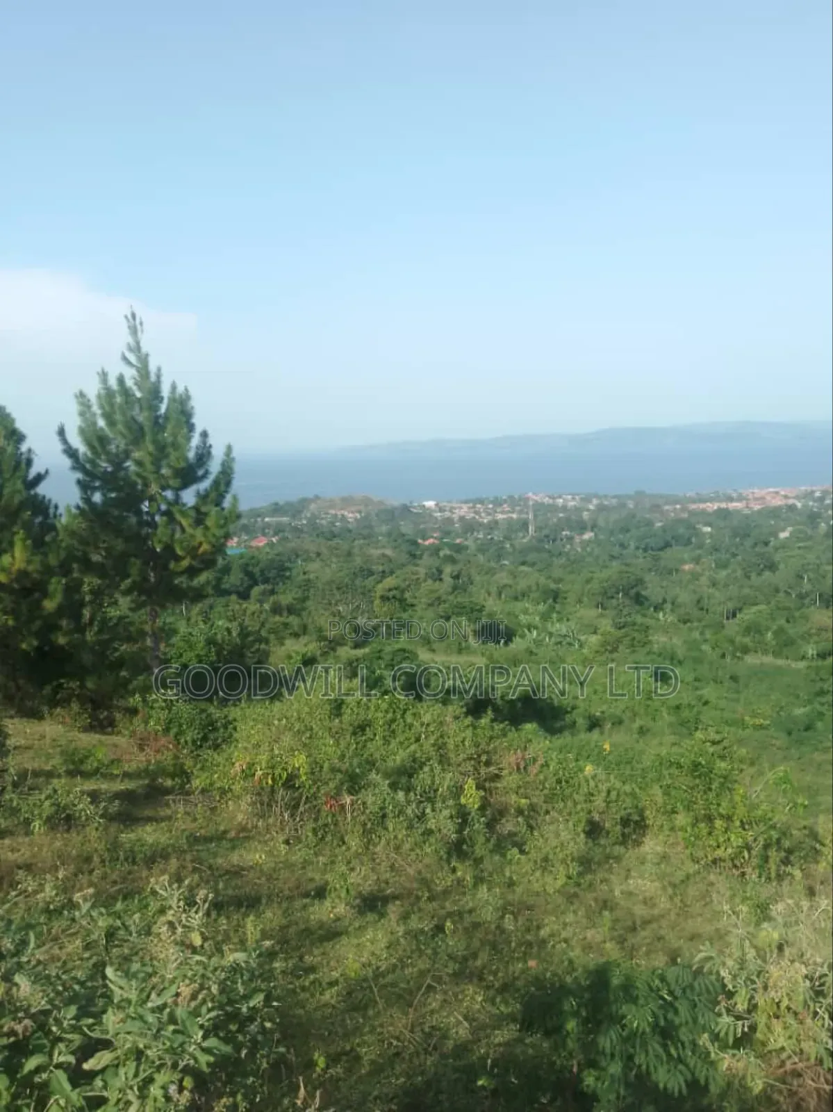 7 Acres of Land in Kiyindi Buikwe, Mukono-Katosi-Nkokonjeru Road