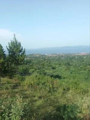 7 Acres of Land in Kiyindi Buikwe, Mukono-Katosi-Nkokonjeru Road