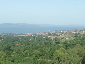 7 Acres of Land in Kiyindi Buikwe, Mukono-Katosi-Nkokonjeru Road