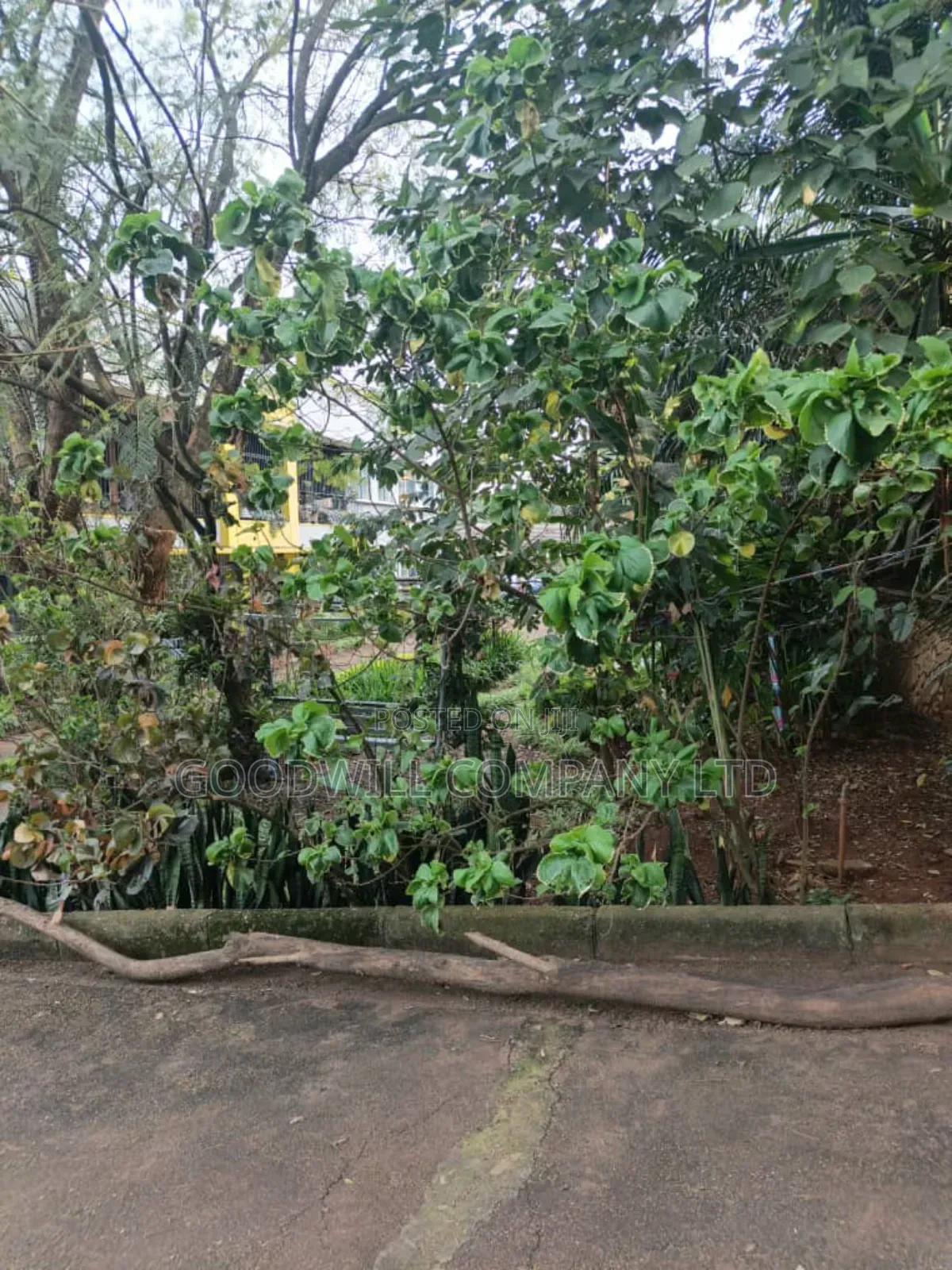 53 Decimals Plot of Land in Kololo Kampala City