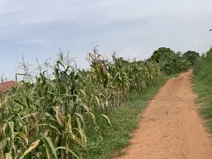 Titled Land