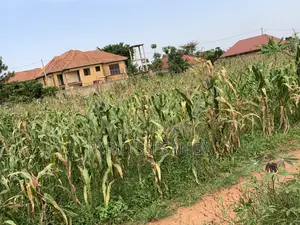Titled Land