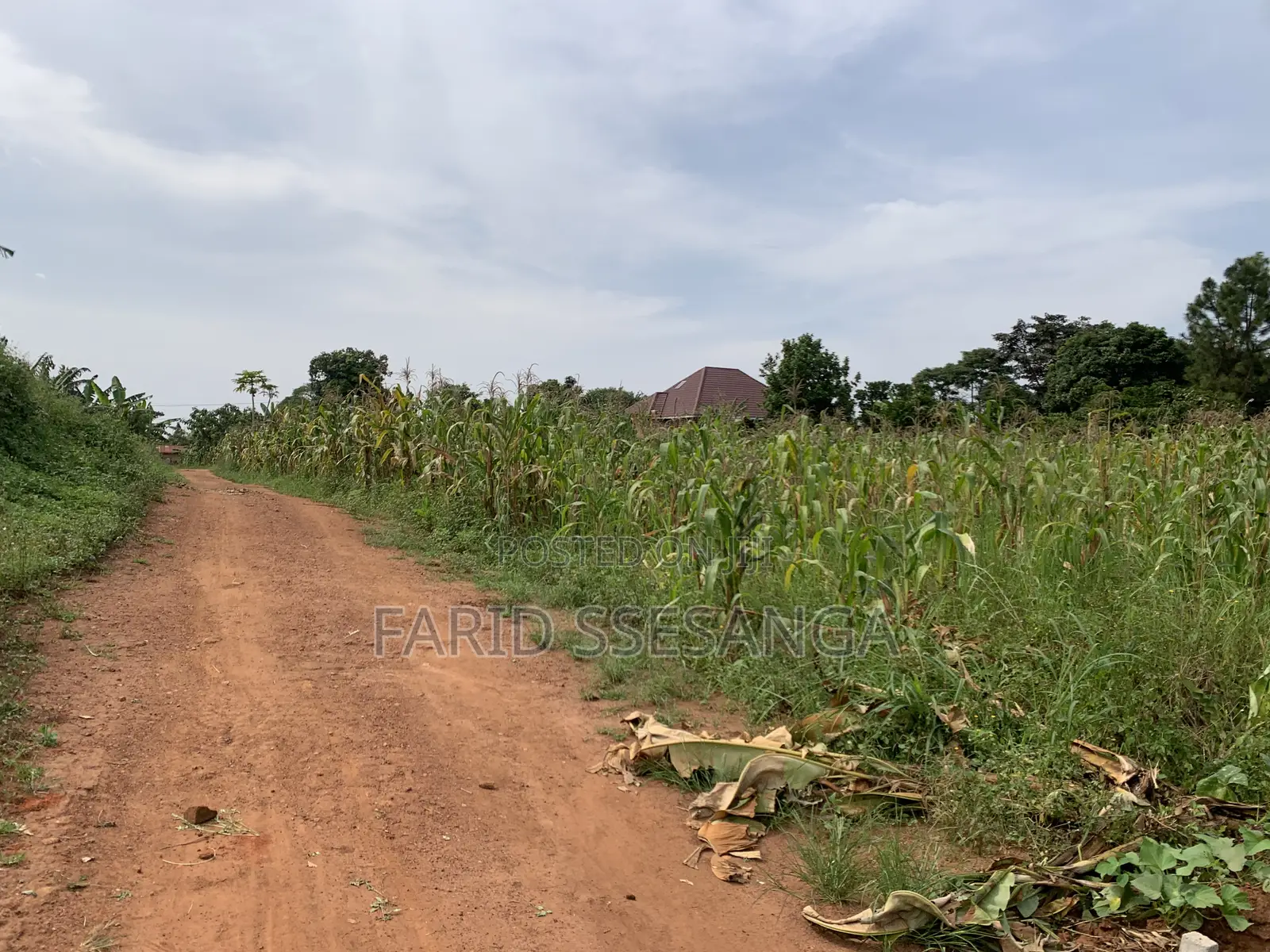 Titled Land