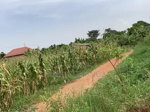Titled Land