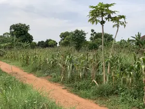 Titled Land