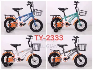 Redsun Ty-2333 Children's Bicycle.