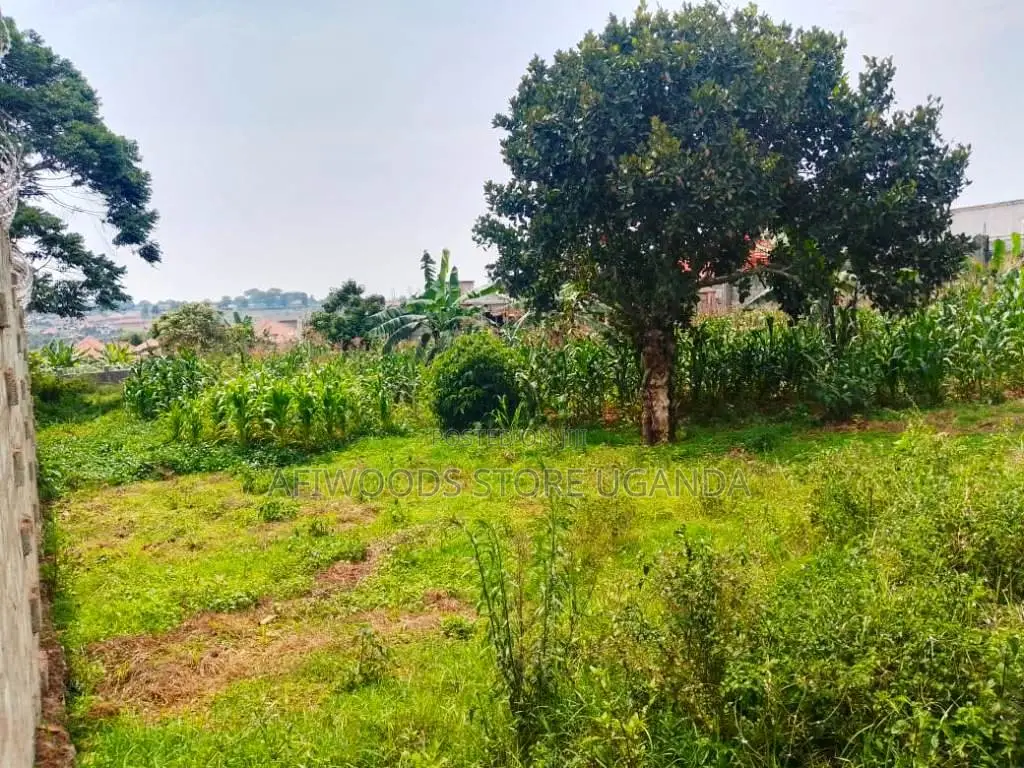 Land for Sale in Nkumba Entebbe 2 Plots of 50 by 100 2km From the High