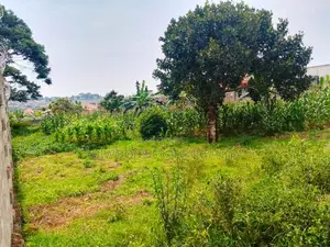 Land for Sale in Nkumba Entebbe 2 Plots of 50 by 100 2km From the High