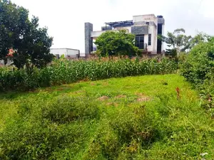 Land for Sale in Nkumba Entebbe 2 Plots of 50 by 100 2km From the High