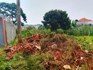 Land for Sale in Nkumba Entebbe 2 Plots of 50 by 100 2km From the High