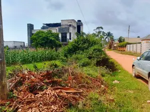 Land for Sale in Nkumba Entebbe 2 Plots of 50 by 100 2km From the High