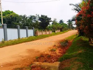 Land for Sale in Nkumba Entebbe 2 Plots of 50 by 100 2km From the High