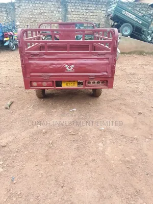 Tricycle 2024 Red