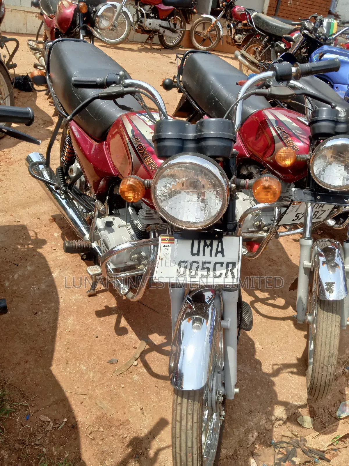 Bajaj Boxer 100 2025 Red