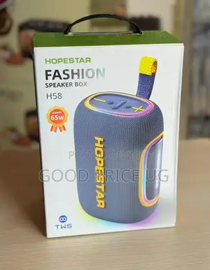 Worryfree Gadgets Hopestar H58 65w Wireless Bluetooth Speaker.