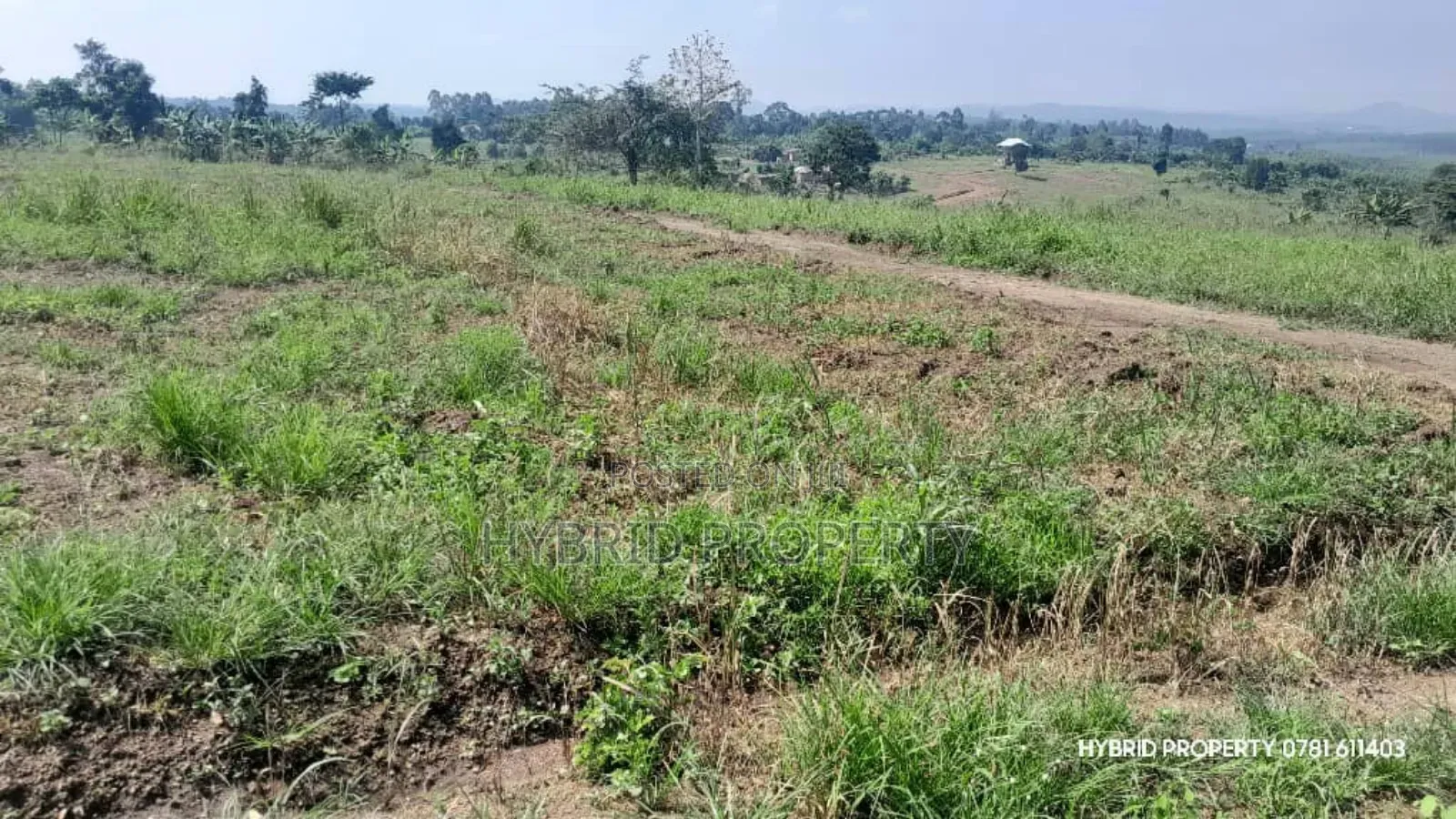 Prime Plots for Sale at Kakiri~Kikugi Clear View Estate Along Hoima Rd