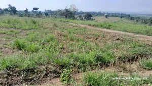 Prime Plots for Sale at Kakiri~Kikugi Clear View Estate Along Hoima Rd