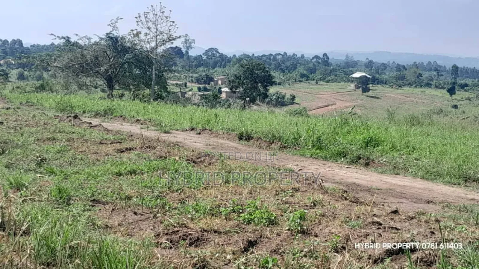 Prime Plots for Sale at Kakiri~Kikugi Clear View Estate Along Hoima Rd