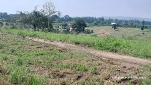 Prime Plots for Sale at Kakiri~Kikugi Clear View Estate Along Hoima Rd