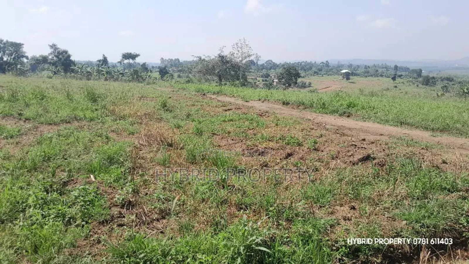 Prime Plots for Sale at Kakiri~Kikugi Clear View Estate Along Hoima Rd