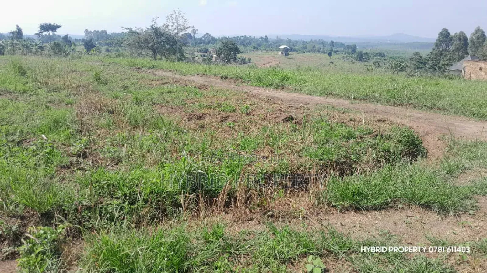 Prime Plots for Sale at Kakiri~Kikugi Clear View Estate Along Hoima Rd