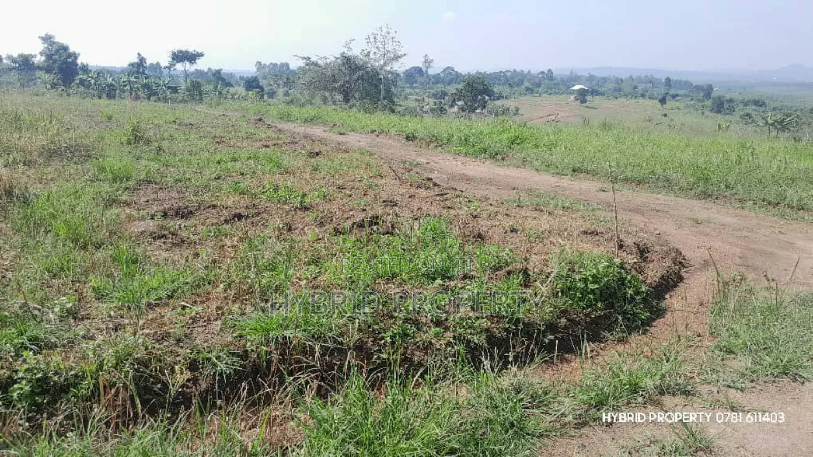 Prime Plots for Sale at Kakiri~Kikugi Clear View Estate Along Hoima Rd