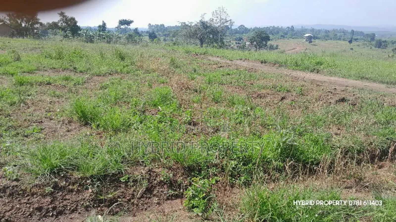 Prime Plots for Sale at Kakiri~Kikugi Clear View Estate Along Hoima Rd